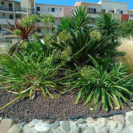 Climatise Sur L'ile Des Pecheurs *