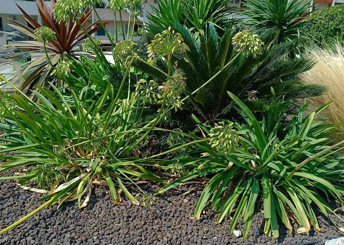 Climatise Sur L'ile Des Pecheurs *