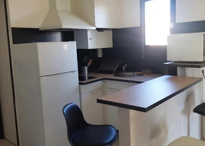 דירה Climatise Sur L'ile Des Pecheurs אגדה